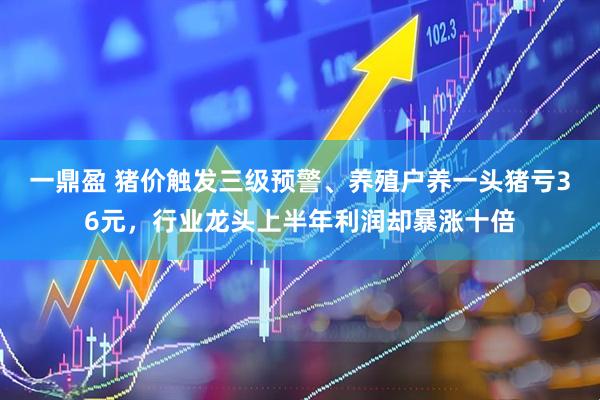 一鼎盈 猪价触发三级预警、养殖户养一头猪亏36元，行业龙头上半年利润却暴涨十倍