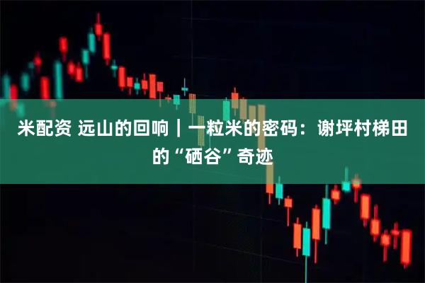 米配资 远山的回响｜一粒米的密码：谢坪村梯田的“硒谷”奇迹